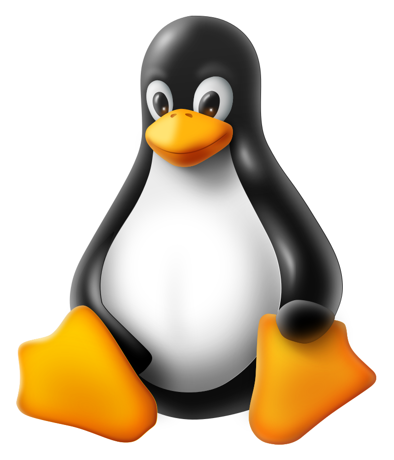 linux skill