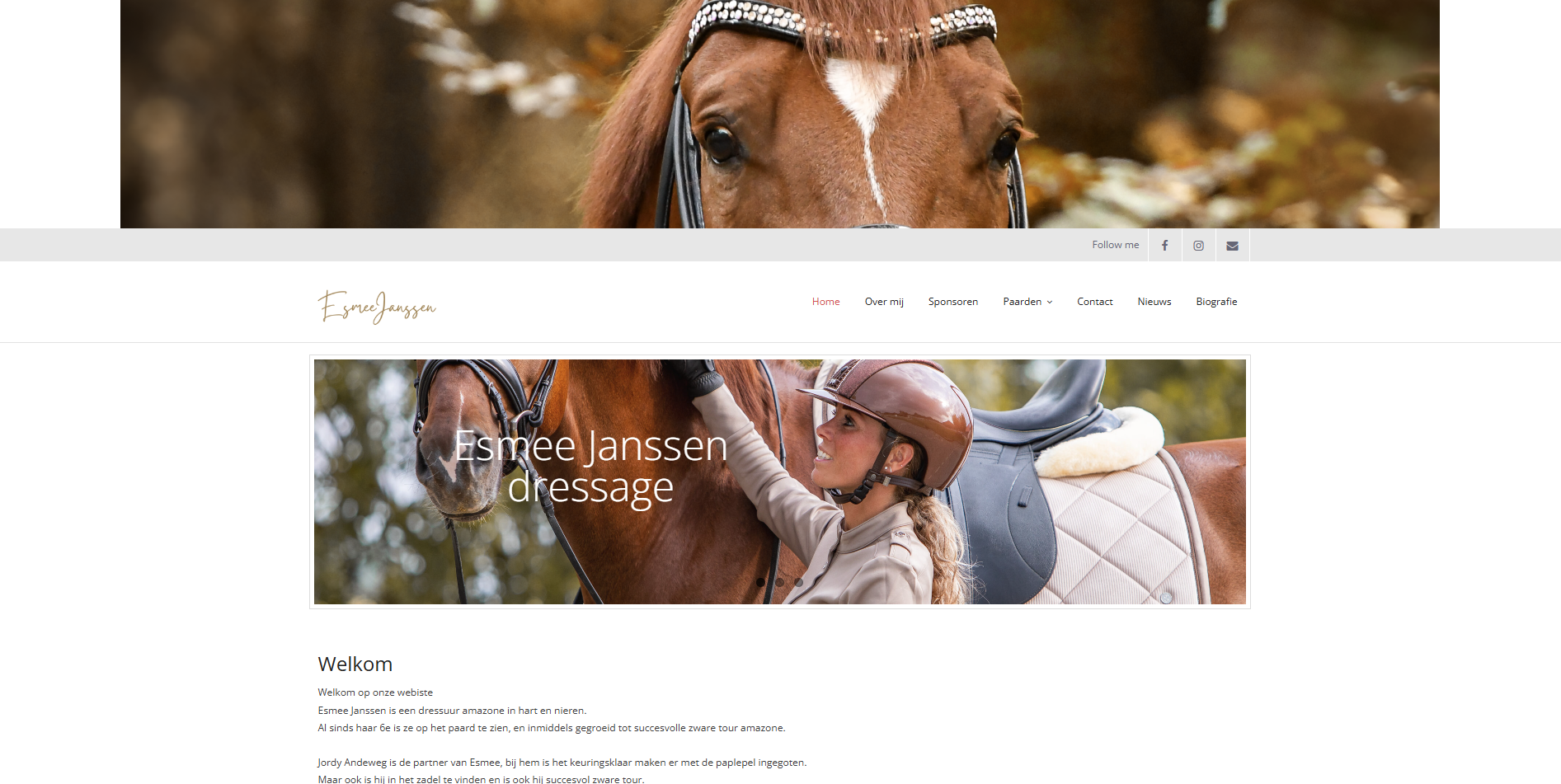 Esmee Janssen Dressage website preview image